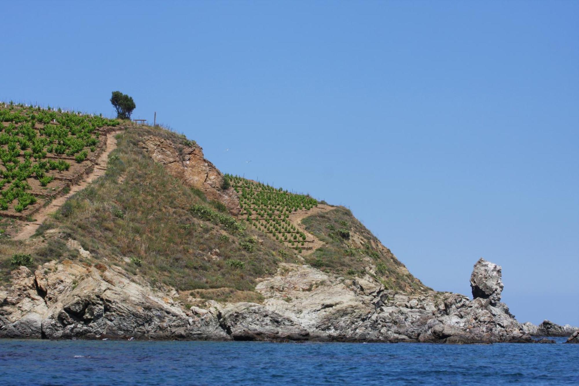 Logis Hotel Solhotel Banyuls-sur-Mer Luaran gambar