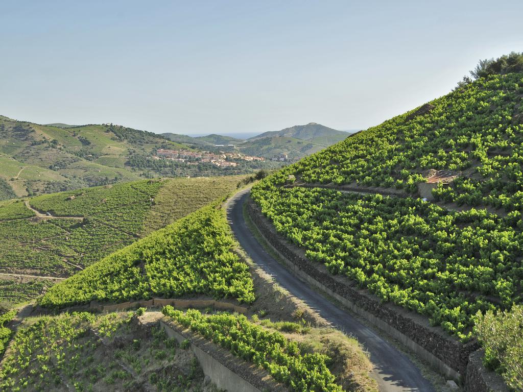 Logis Hotel Solhotel Banyuls-sur-Mer Luaran gambar