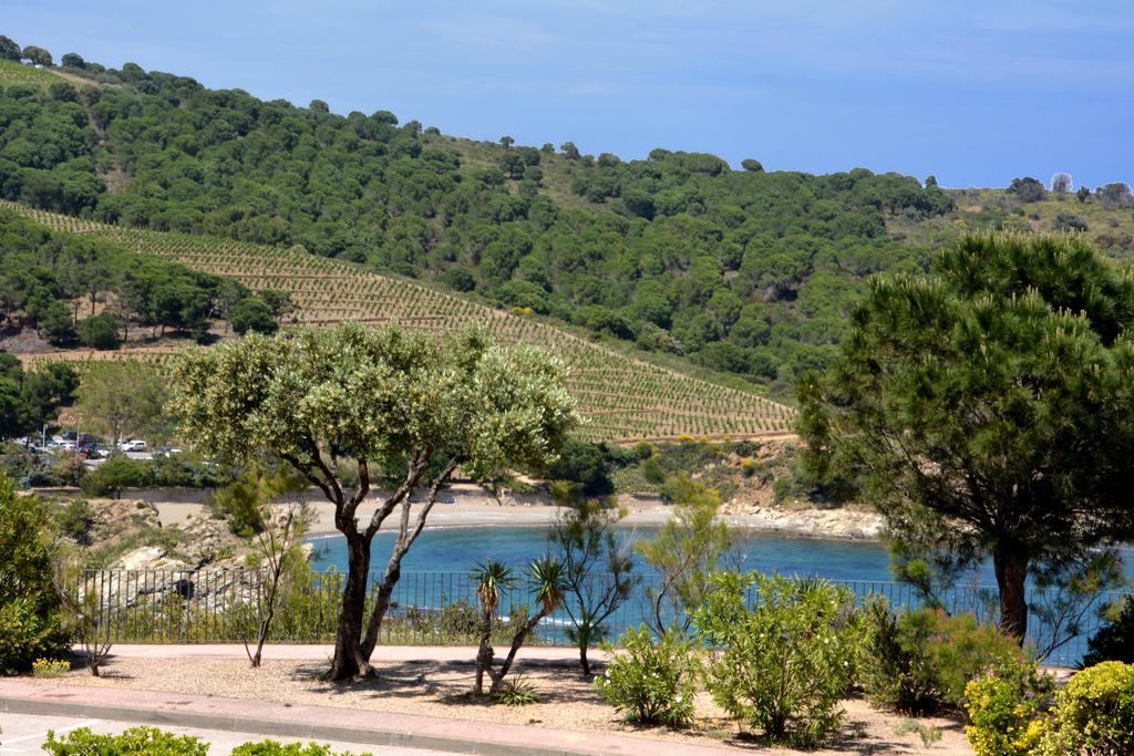 Logis Hotel Solhotel Banyuls-sur-Mer Luaran gambar