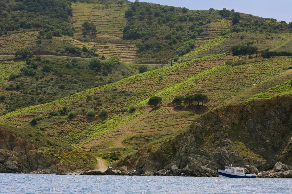 Logis Hotel Solhotel Banyuls-sur-Mer Luaran gambar